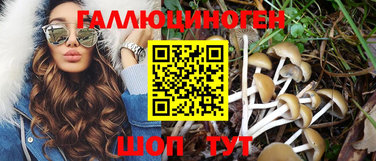 Галлюциногенные грибы прущие грибы Коммунар